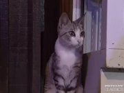 DP Orgy in the Bar 11/16