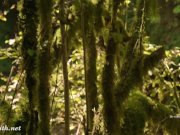 Jeny Smith naked adventures. 7/16