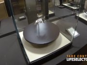 It's all about business 1/16