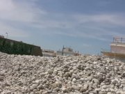 Lady In A Red Dress Loves To Fuck 7/16