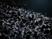 Vipissy - The Secretaries 2/16