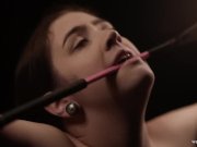 A Very BDSM Christmas