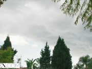 VIXEN_Side_Chick_Has_Wild_and_Passionate_Sex 1/16