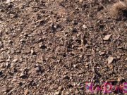 Yung dumb slut takes rock hard cock 2/16