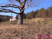 Yung dumb slut takes rock hard cock 6/16