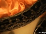 Rainbow Dancer From Erotic Asia 15/16