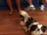 Tanned brunette cutie loves to end with facials 2/16