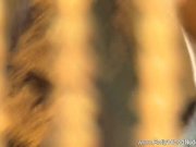 Bringing Your Sexuality Into Balance 10/16