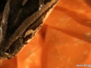 Beautiful Ways From Exotic Asia 16/16