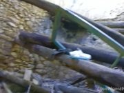 Big Tits, Pink Hair And Tattoos All Over 2/16