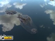 BANGBROS - Tessa Taylor's Florida Everglades Adventure With Tony Rubino 2/16