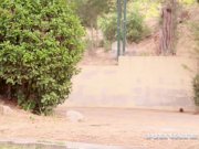 Private com Elle Rose debut 2/16