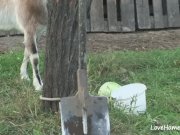 Granny enjoys a cumshot after passionate outdoor fucking 2/16