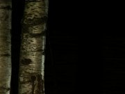 Pain and Passion. 10/16