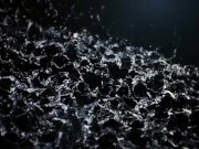 Vipissy - Time For A Shower - Pissing Lesbians 1/16