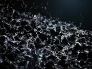 Vipissy - Gabriella Nicol Love - Pissing Lesbians 1/16