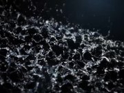 Vipissy - Dance For Me - Pissing Lesbians 1/16