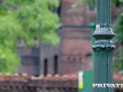 Cutie Teen Hairdresser Lady Bug Tries Anal 1/16