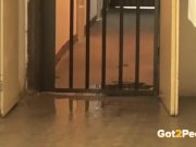 Brunette babe is looking for somewhere to pee but cant unlock the door and 15/16