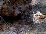 Hiker Rescued By Brunette Babe With Big Tits 1/16