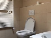 Lexidona - Pee - Home Made 1/16