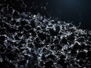 Vipissy - Adele Vinna Reed - Pussy Pissing 2/16