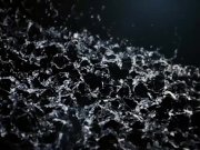 Vipissy - Creamy Blondes - Lesbian Piss 2/16