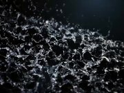 Vipissy - Hi Honey - Pissing Lesbians 2/16