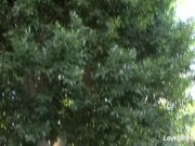 Big tits beauty loves to get ass fucked 5/16