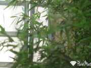 PUREMATURE Interracial anal fuck with seductive MILF 1/16