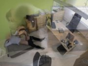 LOAN4K. Rude agent bangs Lussy like a cheap whore for a big credit 9/16