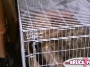 Caged vintage lesbians 13/16