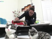 Kinky cats Misha Cross and Amirah Adara wild sex late at night 8/16