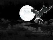 BANGBROS - Young 18yo Latin Babe Autumn Falls Plays With Her Wet Pussy 16/16