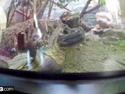 Real MILFs - Tiffany Brookes POV dick sucking in public 6/16