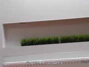 HUNT4K. Blonde picked up by man who wanted to help her financially 6/16