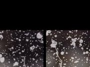 Blonde meets brunette in pissy pussy licking - Virtual Porn 1/16