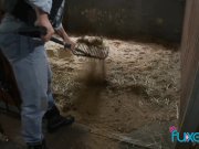 Tera Joy riding horse on farm 1/16