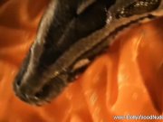 Exotic Lady From The Orient 16/16