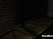 Betrayed Cargo: Submissive Lesbian Slave Sisters Branded And Sent For Sale 15/16