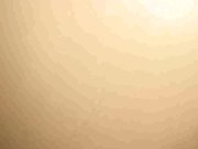 the sexy freak are back genovese just rylee fucks bbc 4/16