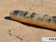 Leya the Viking takes a gold trophy up her ass 4/16