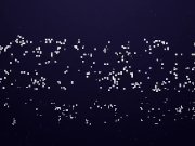 Teen Schoolgirl Harmony Wonder Loves Rubbing And Stuffing Her Tight Pussy 1/16