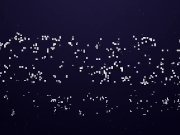 Petite Latina Vienna Loves Having A Stiff Cock Deep Inside Her Tight Pussy 1/16