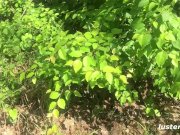 Jack & Lenore - We Just Fucked in the Park 7/16