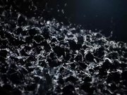 Pee Play After Massage 1/16