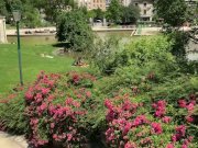 Slutty MILF compilation filmed with a smartphone on MySexMobile 6/16