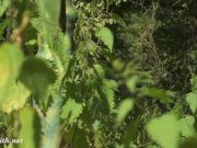 Invisible nakedness in the city. Body Art with public nude by Jeny Smith 14/16