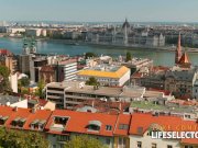 Surrounded by Sluts 1/16