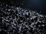 Back To School With Nicol Love 1/16